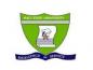 Imo State University logo